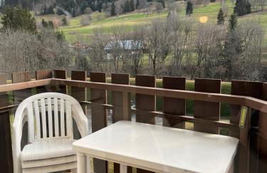 Mignon petit Studio 25m2 avec balcon et Parking face départ pistes ! - Foto 6