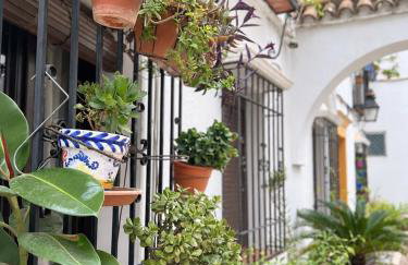 Nueva Córdoba Judería - Foto 53