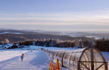 Wohnung Mitterdorf - Foto 43