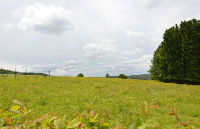 Scenic Stay in Vencimont - Foto 30