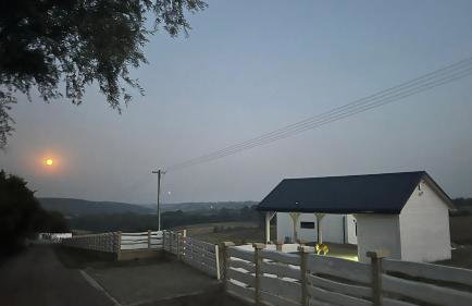 W Kręgu Natury - Foto 63