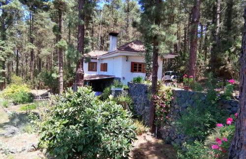 Floral garden house - Foto 13