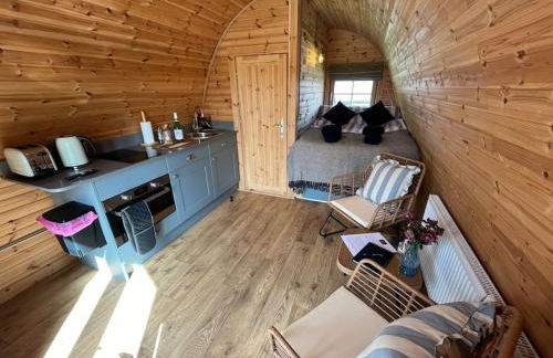 The Pod Patch - Trelerney Pod - Foto 19