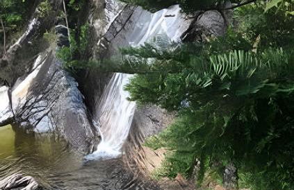 Sítio Piscina natural, Trilha e Cachoeira - Foto 76
