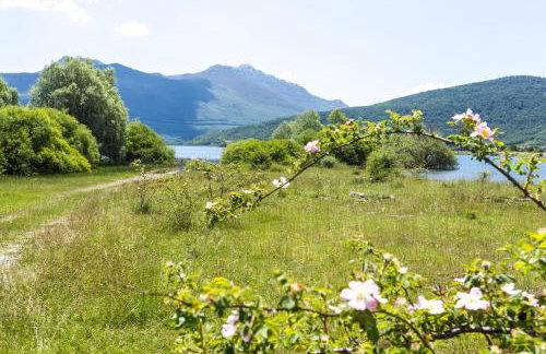 Forest Escape - Foto 50