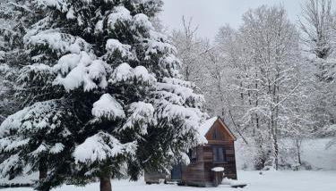 Insolite Tiny House Sérénité Bien Être - Foto 4