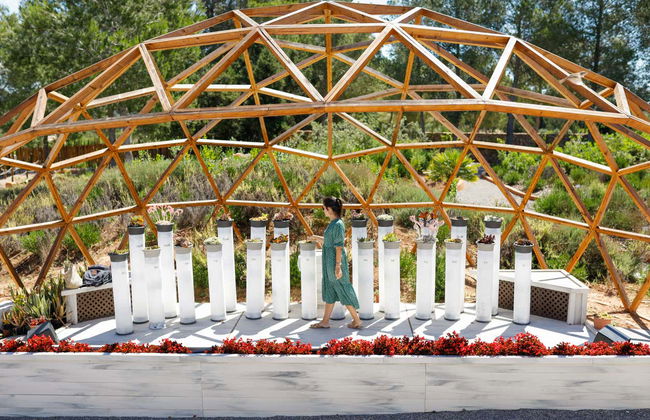 BIBO PARK - Ibiza Botánico Biotecnológico - Foto 4