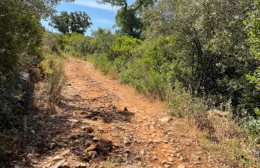 Casa Valverde - Foto 57