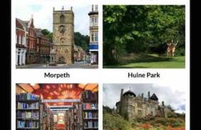 Honeybee Lodge - Foto 49