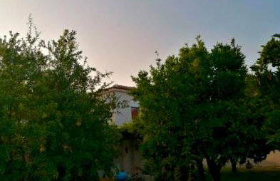 SOFIAS APARTMENTS in LESVOS - Photo 58