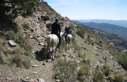 Cortijo Opazo - Foto 29