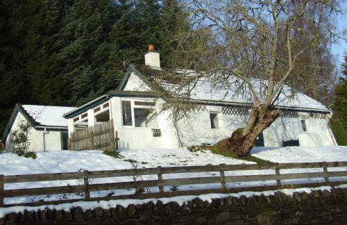 Craignavie Cottage - Foto 40
