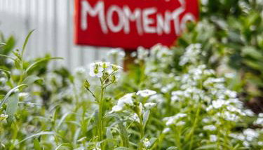 Refúgio com hidro, lareira e jardim em Três Coroas - Foto 3
