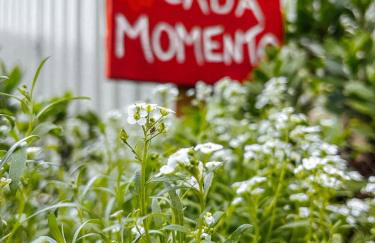 Refúgio com hidro, lareira e jardim em Três Coroas - Foto 3