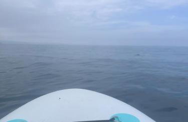 The C Den Amazing Seaview, ground floor, free wifi & parking - Foto 29