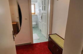 Grosse Wohnung mit Garten und Bergblick - Foto 12