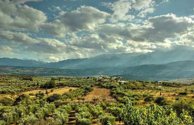 Anna-Malai Traditional Cretan Villa - Foto 28