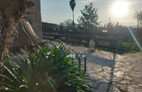 homonatura petrinum - Foto 29