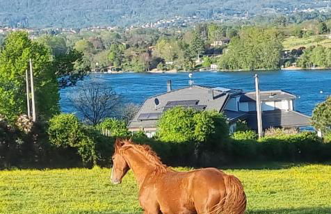 Agriturismo Pastorelli - Foto 25