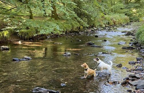 The Piggery Dulverton - Foto 36