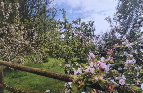 Nature Charm & Fruit Delights, multi-generation celebratory home -Try, Relax, Repeat - Sellindge - Foto 80