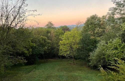 The Firefly Lodge at Shenandoah - Foto 21