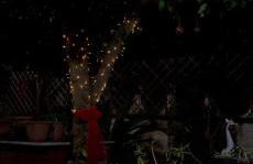 Home Diamond - Photo 41