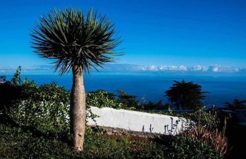 CASAS EN FINCA ECOLÓGICA LA ESPIRAL, NATURALEZA, CALMA Y VISTAS al MAR, - Foto 55