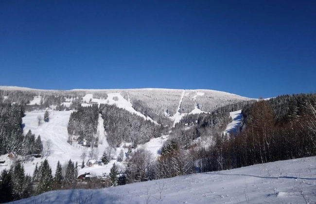 Rokytnice Krm450 in Rokytnice nad Jizerou - Foto 32