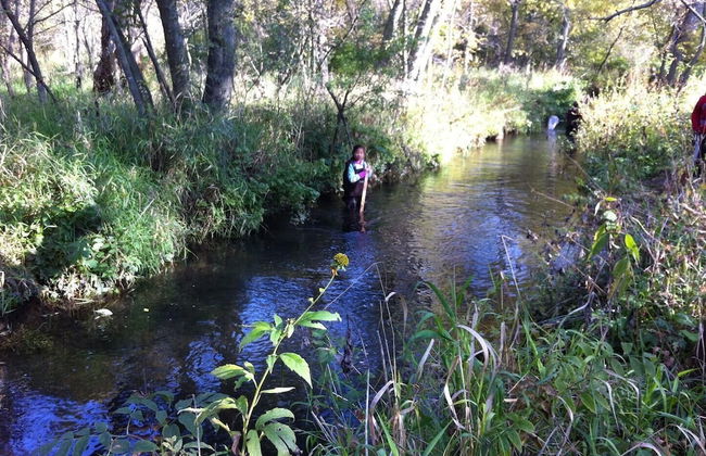 Hidden Forest Retreat - Foto 16