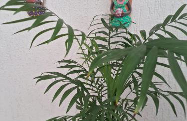 Show de apartamento na Praia do Morro - Guarapari - 3Q - Área externa com churrasqueira - 2 vagas garagem - Wifi - 100m da praia - ar condicionado - Foto 36