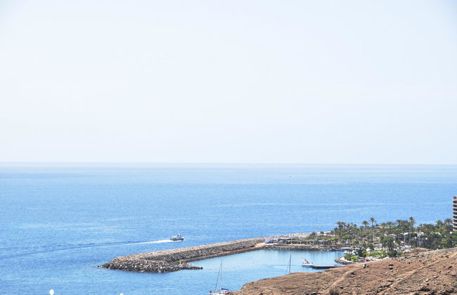 Mariposa del Sol - Foto 88