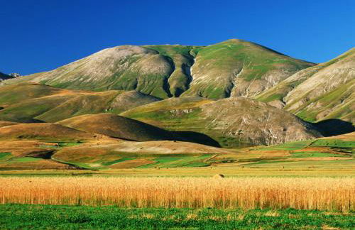 Relaxing Retreat in Le Marche - Foto 56