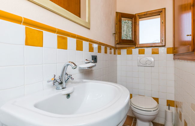 Francigena - Foto 22