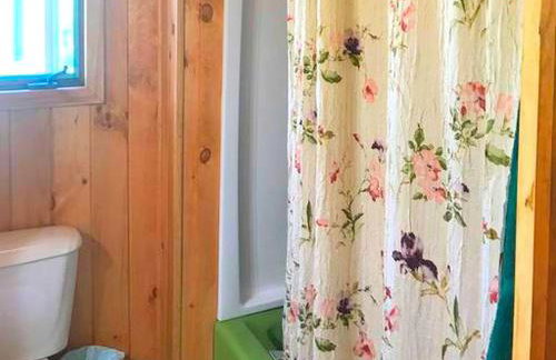 Dog-Friendly Chalet Rental near Whiteface Mountain and Lake Placid, New York - Foto 27