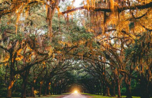 The Mariner's Rest 4BR House Pet-Friendly - Foto 78