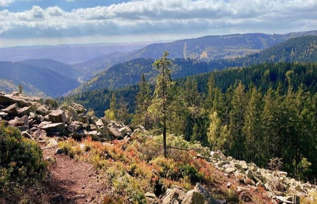 Snug Apartment in Jachymov Near Ski Area - Photo 27