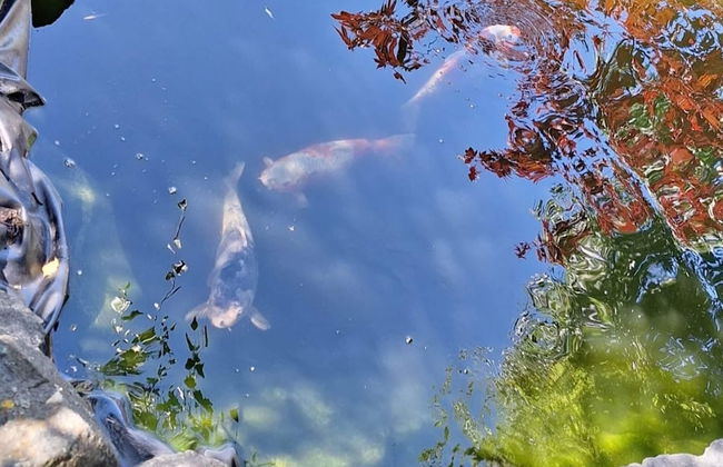 Relaxing Holiday Home in Willersdorf in the Forest - Photo 56