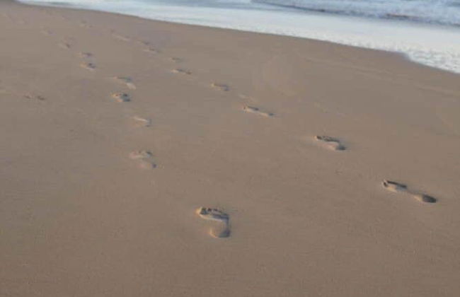 Langley Park Apartments - Photo 46