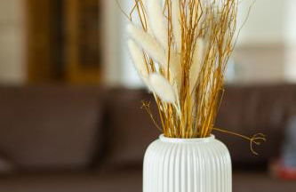 Refúgio de Alburitel - Foto 8