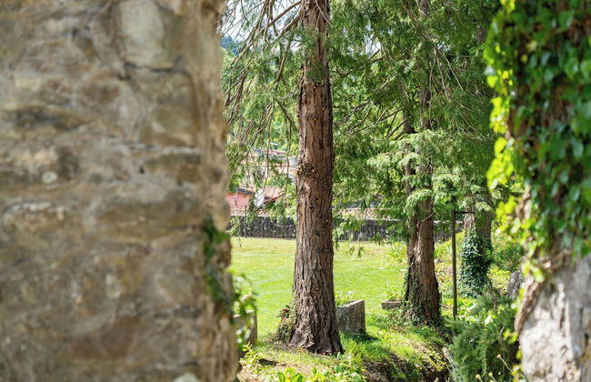 LA ROCCA DI CAMPORGIANO MAISON DU CHARME - Foto 66