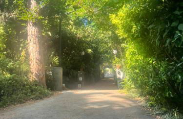 Mediterraneo Apartment - Foto 15