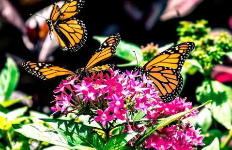 Gorgeous Tiny House with Indoor and Outdoor Lounging Space in Alabama - Foto 10