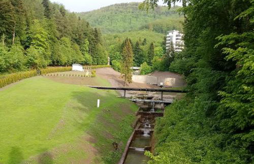 Kurort Kozubnik Apartament 33 Wellness &SPA - Foto 70