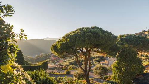 Riders Mansion - Foto 4