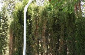 Casas Rurales Huerto Del Abuelito - Foto 17