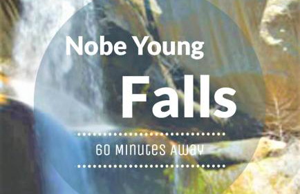 Redwood Retreat, Mountains, Adventure and Nature - Foto 45