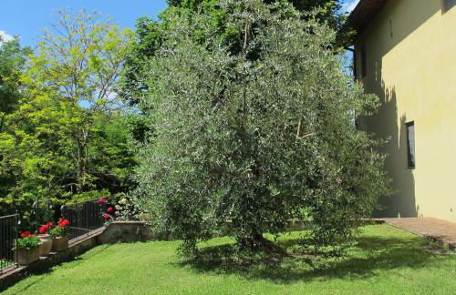 Agriturismo Podere Filicaia - Foto 47