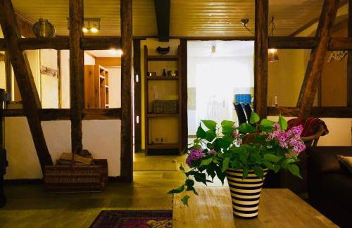 Apartment Omega - Photo 9