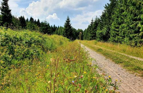 Marthas Stübchen - Foto 28